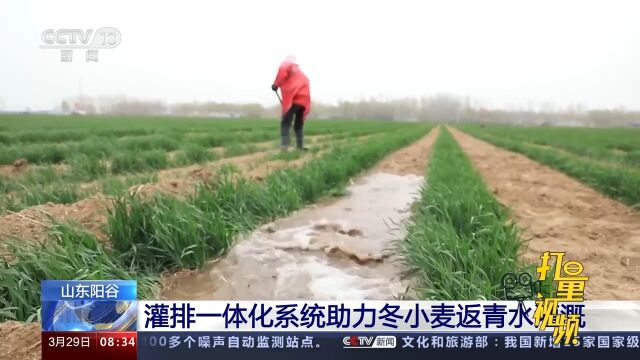 山东阳谷:灌排一体化系统助力冬小麦返青水灌溉