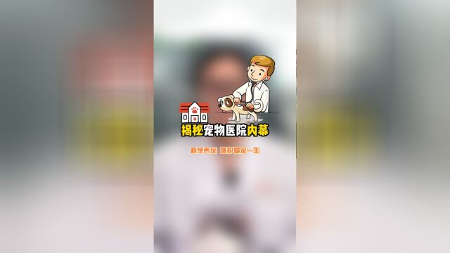 宠物看病比人还贵?揭秘宠物医院内幕,附送看病小技巧