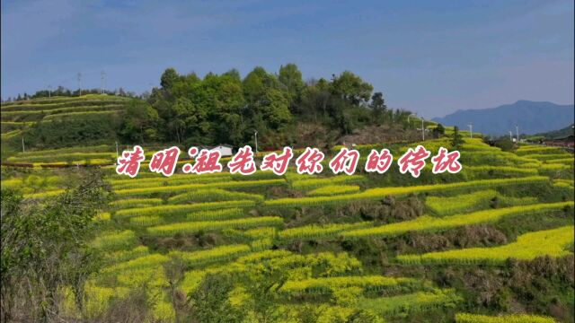 清明:你们的祖先对你们的传讯