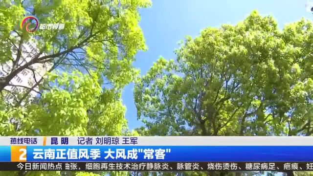 云南正值风季 大风成“常客”