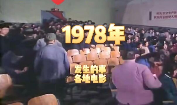 猪猪编年史 1978 年 电影院