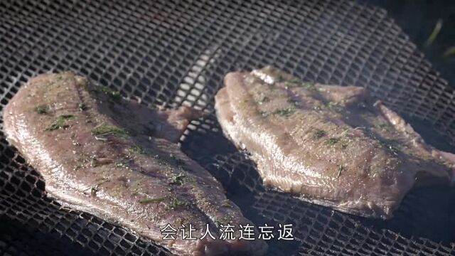 d246集:用渔网捕捉王鲑#零度以下的生活#纪录片