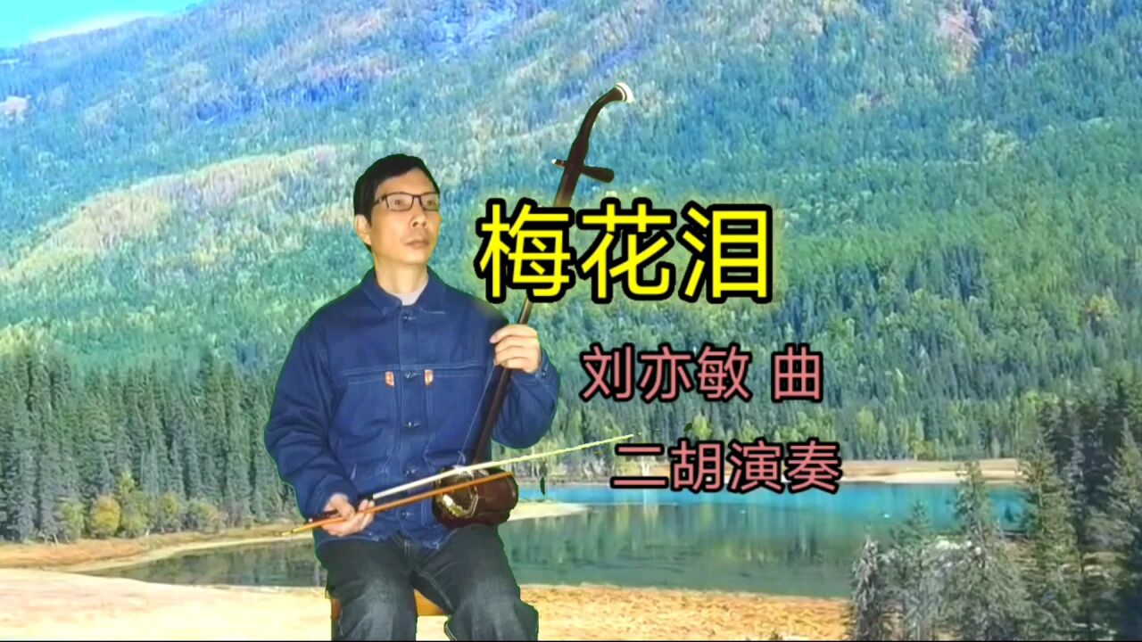 白雪飘红梅滴滴寒香为你醉二胡演奏梅花泪