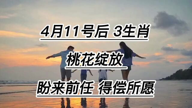 4月11号后,3个生肖桃花绽放,盼来前任,入骨相思,得偿所愿