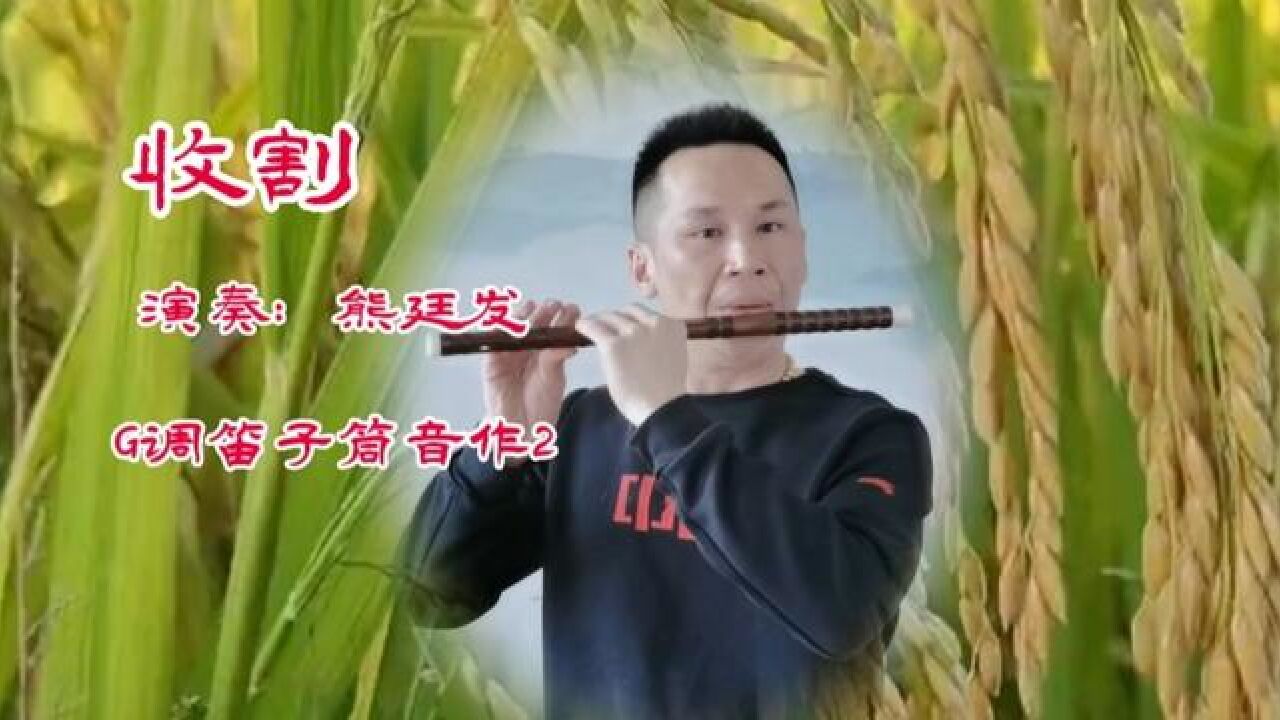 笛子独奏《收割》,g调笛子筒音作2 #竹笛演奏 #民乐竹笛 #收割 #熊廷