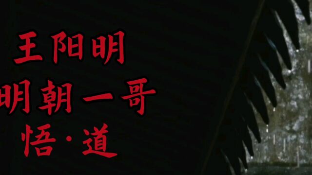 王阳明 明朝一哥之悟道