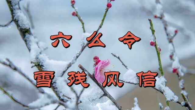 诗词欣赏:晏几道《六么令》——雪残风信,悠扬春消息