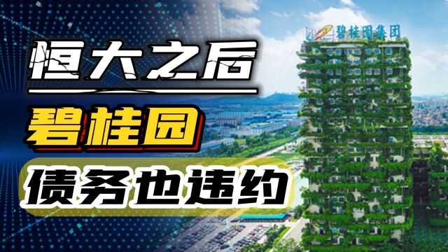 碧桂园预告4.7亿债务违约,会走上恒大的老路吗?