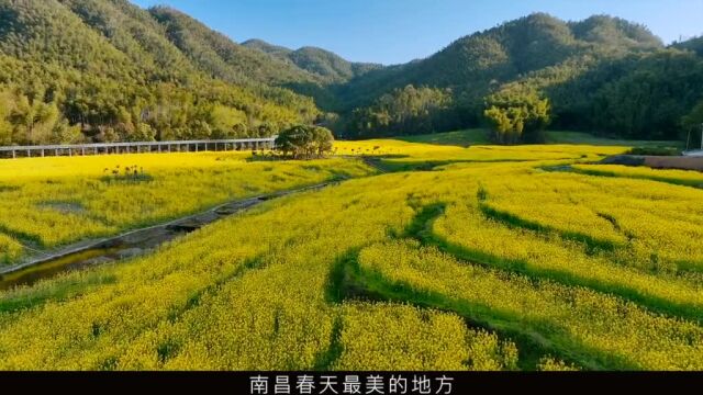 南昌周边赏春踏青好去处ⷮŠ狮子峰