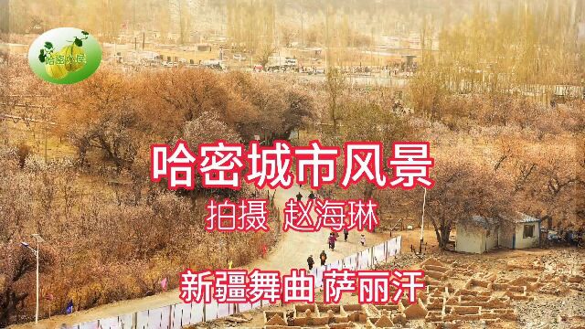 哈密城市风景 新疆舞曲萨丽汗