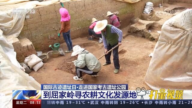 走进国家考古遗址公园,到屈家岭寻农耕文化发源地