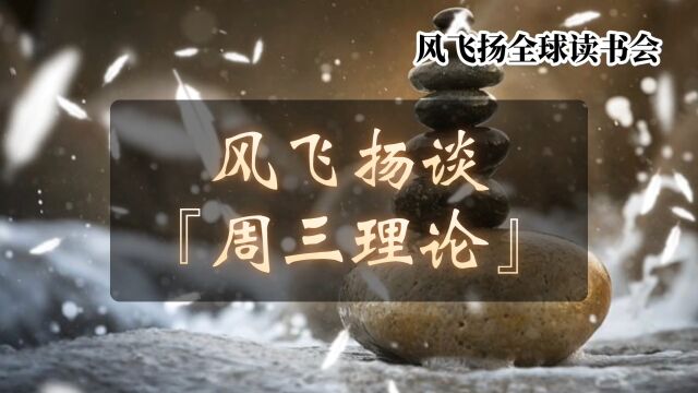 风飞扬谈『周三理论』