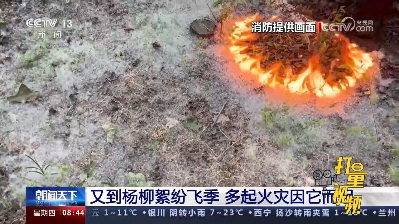 又到杨柳絮纷飞季,多起火灾因它而起