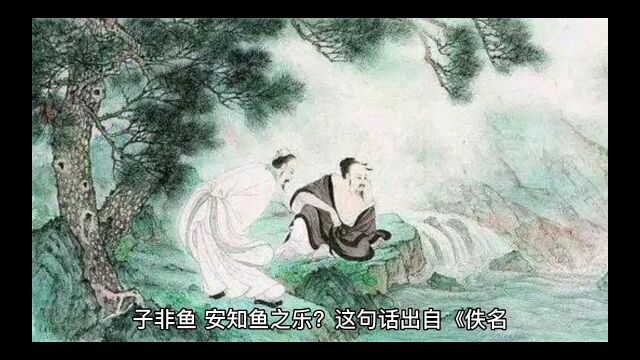 子非鱼,安知鱼之乐