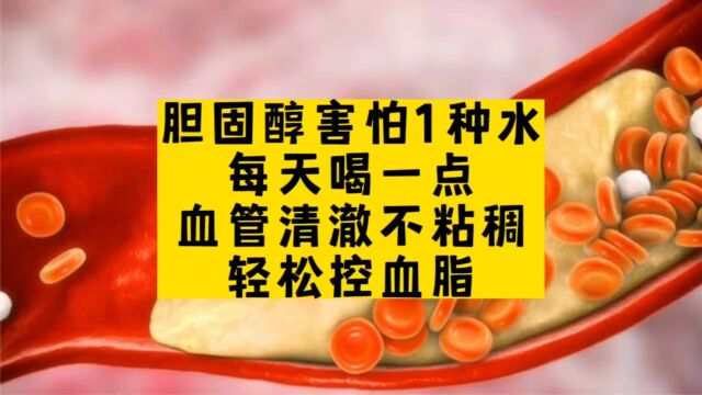 胆固醇害怕1种水,每天喝一点,血管清澈不粘稠