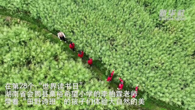 大山里的“田野诗班”