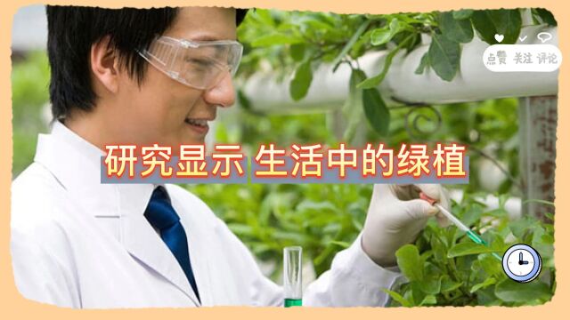 研究显示,生活中的绿植对人类的健康有很多好处!