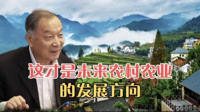 温铁军教授:这才是未来农村农业发展方向