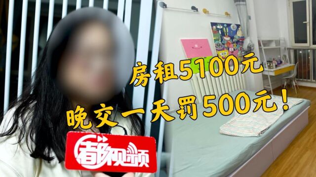 民生现场|房租5100,晚交一天罚500!“天价”滞纳金合法吗?