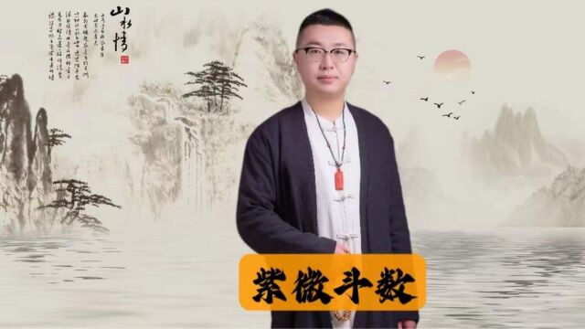 禄入事业宫