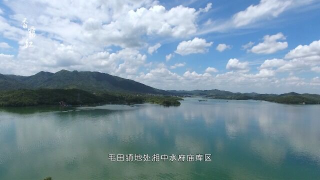 湘乡香露红茶叶水府茶叶 毛田茶叶 湖南特产