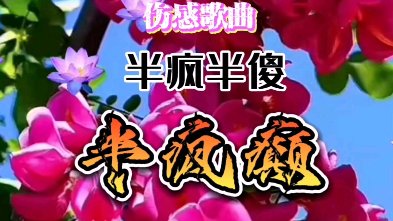 伤感歌曲#半疯半傻半疯癫