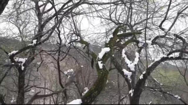 当秀美山川遇上阳春白雪 大东沟的浪漫不期而遇