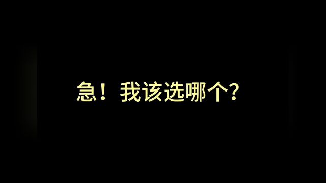 陪玩只是我耍流氓的保护色