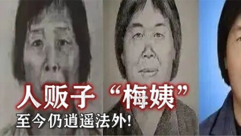 人贩子“梅姨”依然逍遥法外，9个孩子下落不明，家人生不如死！_高清1080P在线观看平台_腾讯视频
