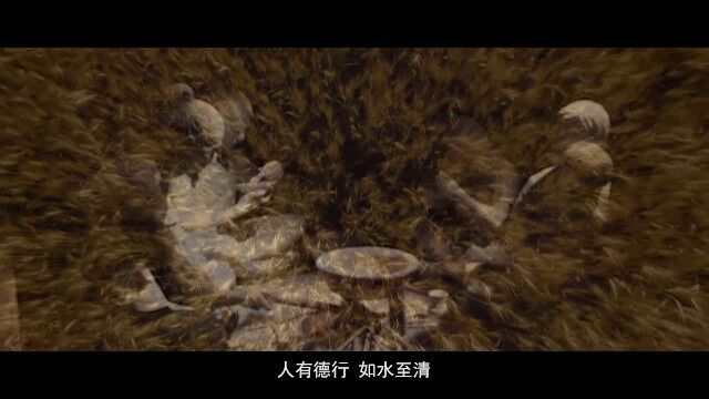 湖州求是教育集团2023宣传片