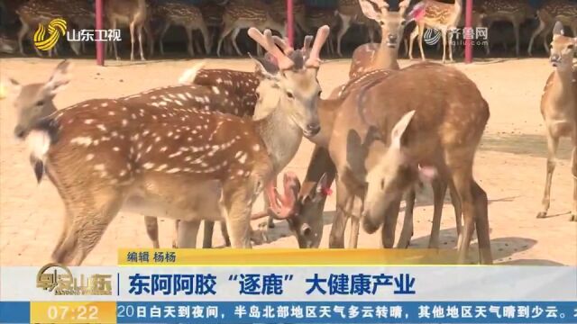 东阿阿胶“逐鹿”大健康产业,实现地方和企业互惠共赢