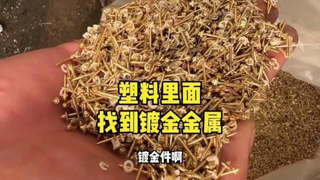 姥姥程总哪里还有什么塑料宝贝,既然在塑料里面发现了镀金金属废#废料 #废旧塑料