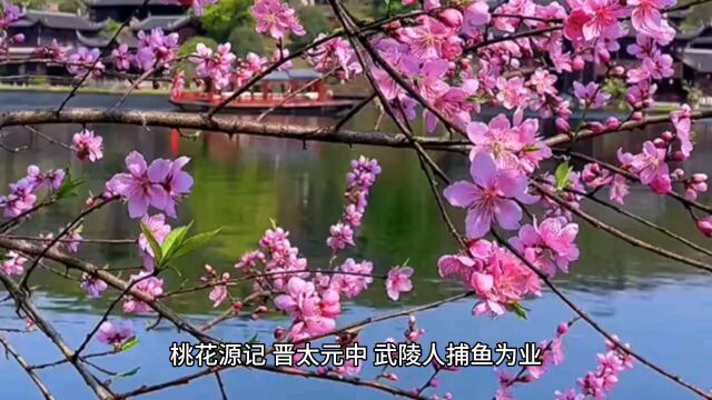 盛年不再来,一日难再晨.及时当勉励,岁月不待人