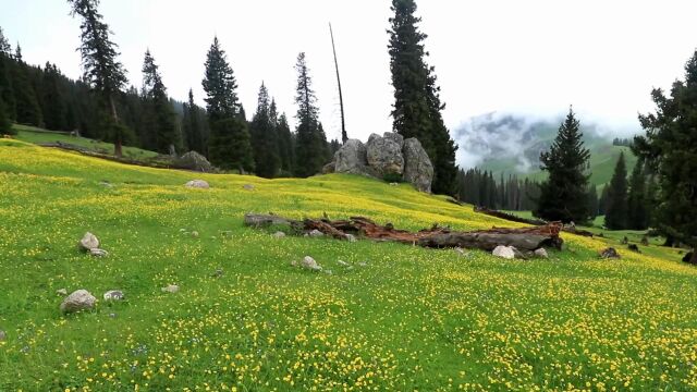 乌孙山白石峰景区