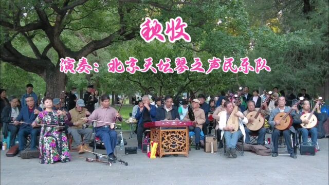 陕北民歌《秋收》,北京天坛琴之声民乐队演奏,韵味十足