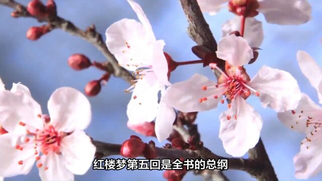 花开时节话钗黛:钗黛合一于兼美