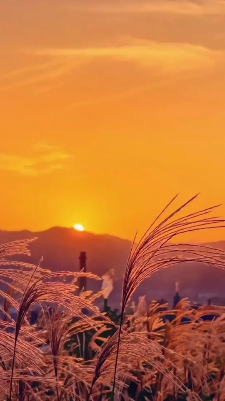 不要问我从哪里来,我的故乡在远方.#音乐#伤感情歌