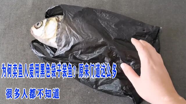 为何卖鱼人爱用黑色袋子装鱼?原来门道这么多,很多人都不知道