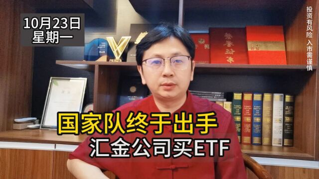 玩真的,汇金公司首次买入ETF!A股非理性下跌