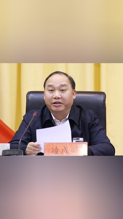 打虎国家烟草专卖局原局长凌成兴被查曾任江西省副省长