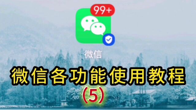 微信各功能使用教程5,朋友聊天设置拍一拍和拼接图片发送#微信使用小功能 #实用小技巧 #拍一拍添加文字 #微信功能