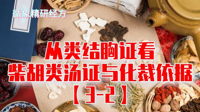 从类结胸证看柴胡类汤证与化裁依据(三)(2)