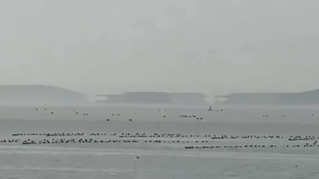 蓬莱八仙过海景区惊现海市蜃楼:忽闻海上有仙山,山在虚无缥缈间