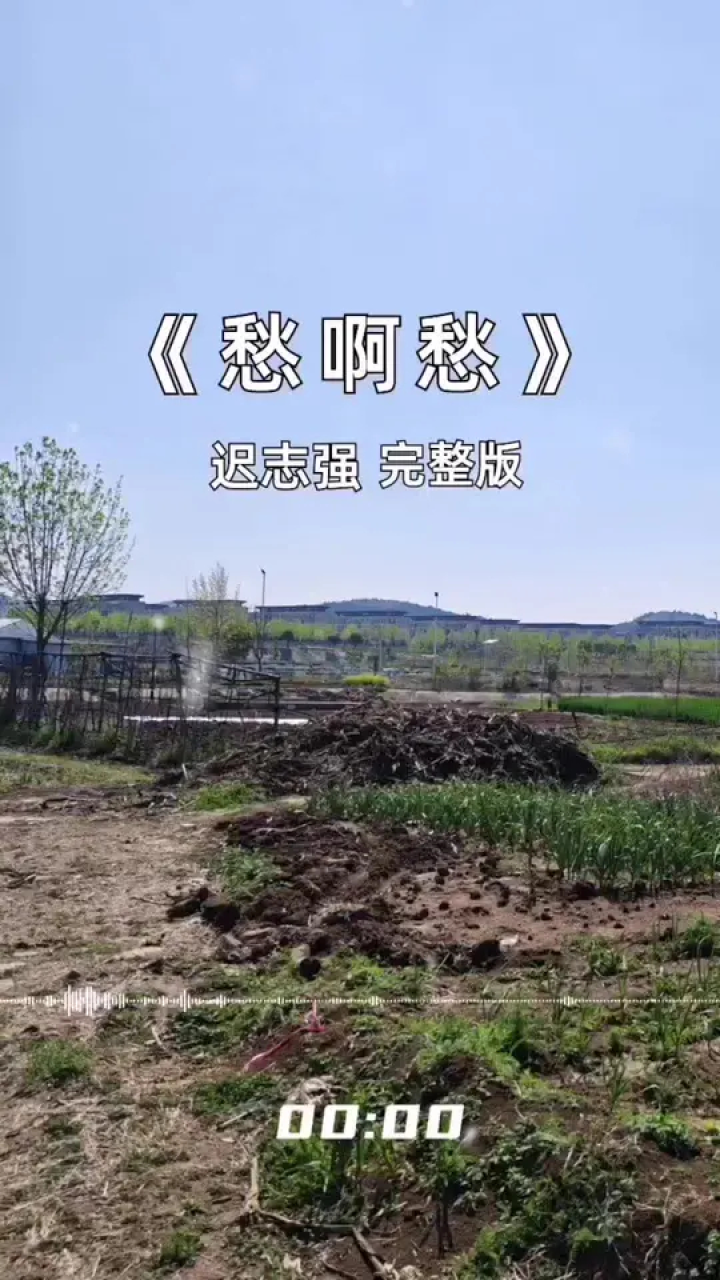 愁啊愁 #经典老歌 #音乐分享 #好歌分享