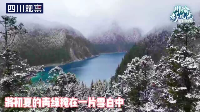 川渝好风光|飞雪飘长海 九寨沟一日见四季