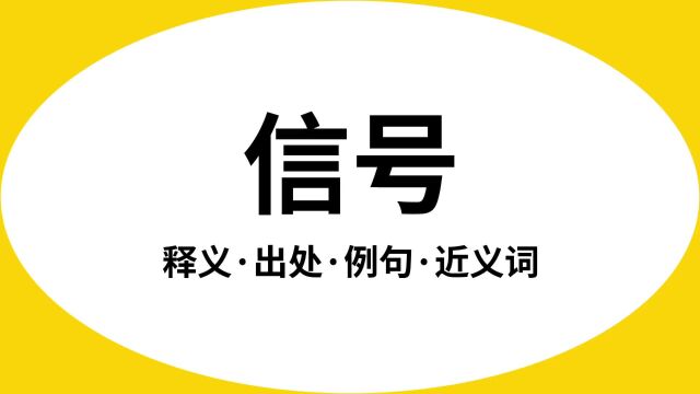 “信号”是什么意思?