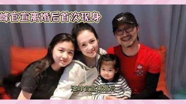 汪峰离婚官宣离婚后