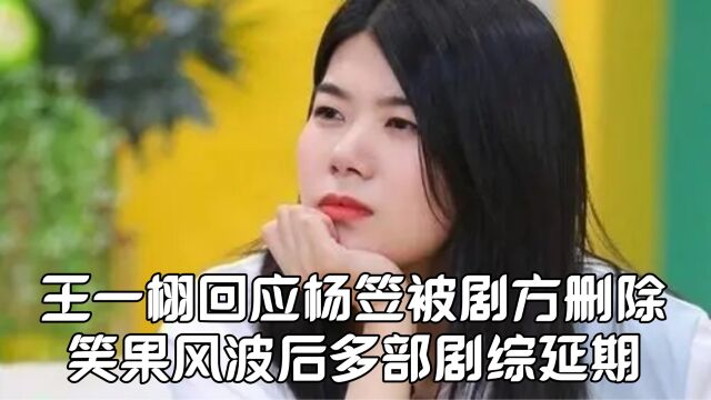 王一栩回应杨笠被剧方删除!笑果风波后,多部剧综延期引热议