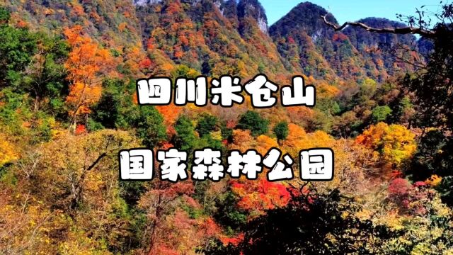 四川米仓山国家森林公园