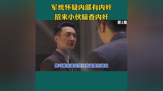 内地剧 #中国谍战 #小说改编 #剧情讲解